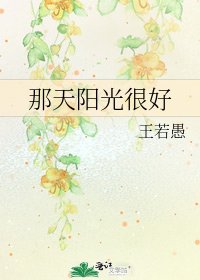 那天阳光很好
